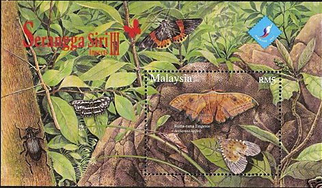 holo2007Mal3.jpg - 85523 Bytes